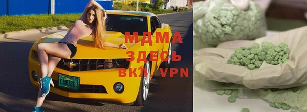 индика Алексин