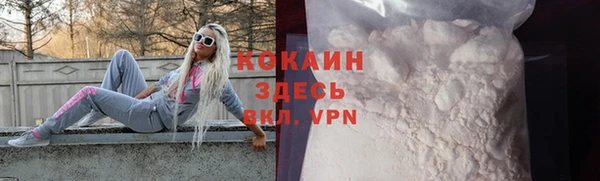индика Алексин