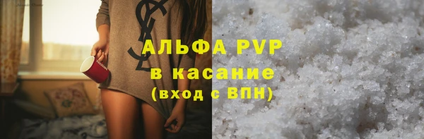 индика Алексин