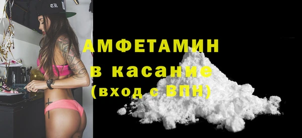 индика Алексин
