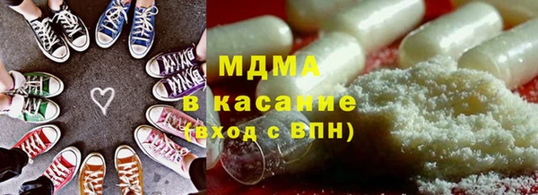 индика Алексин