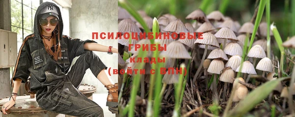 spice Алексеевка
