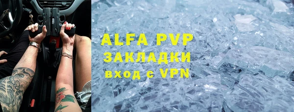 индика Алексин