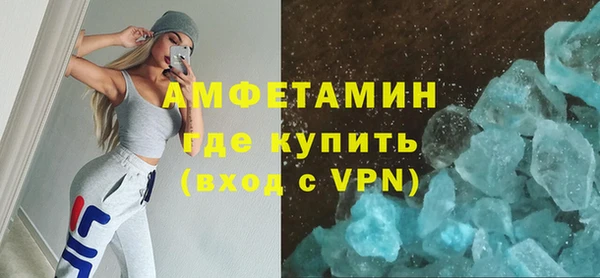 индика Алексин