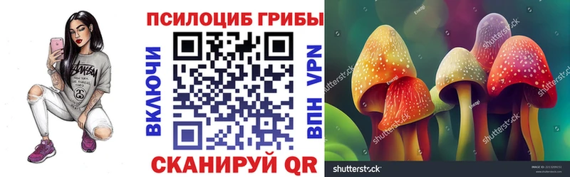 Псилоцибиновые грибы мицелий  Купить закладки  Бородино 