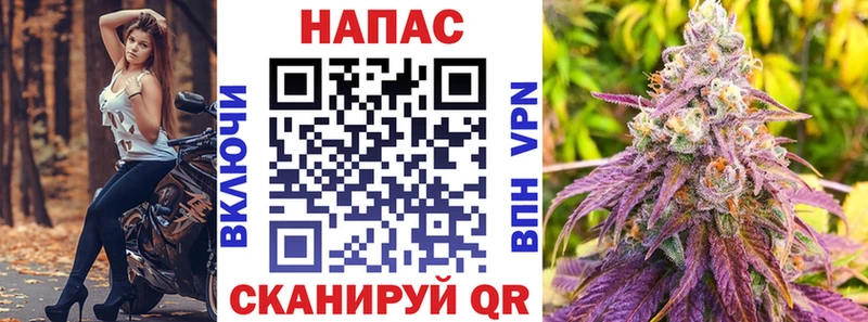 Купить  Бородино  Конопля White Widow 